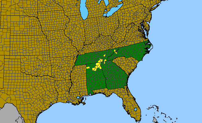 The range of Diervilla rivularis